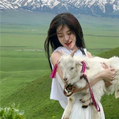 9号秘事第九季